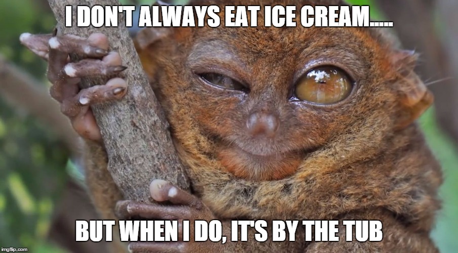 tarsier 2 | I DON'T ALWAYS EAT ICE CREAM..... BUT WHEN I DO, IT'S BY THE TUB | image tagged in ice cream,tarsier | made w/ Imgflip meme maker
