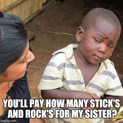 Third World Skeptical Kid Meme | YOU'LL PAY HOW MANY STICK'S AND ROCK'S FOR MY SISTER? | image tagged in memes,third world skeptical kid | made w/ Imgflip meme maker