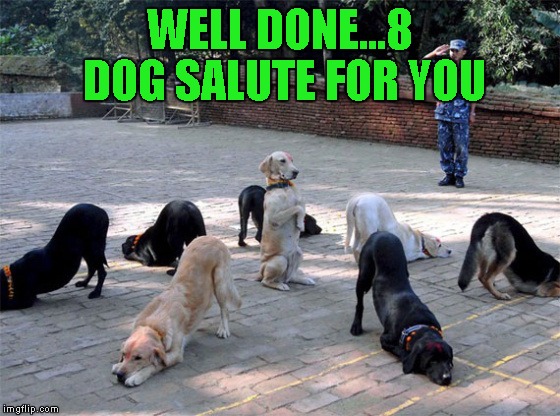 WELL DONE...8 DOG SALUTE FOR YOU | made w/ Imgflip meme maker