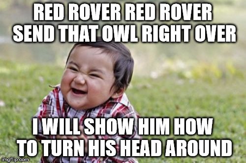 Evil Toddler Meme | RED ROVER RED ROVER SEND THAT OWL RIGHT OVER I WILL SHOW HIM HOW TO TURN HIS HEAD AROUND | image tagged in memes,evil toddler | made w/ Imgflip meme maker
