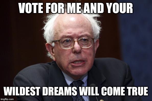 Bernie Sanders | VOTE FOR ME AND YOUR; WILDEST DREAMS WILL COME TRUE | image tagged in bernie sanders | made w/ Imgflip meme maker