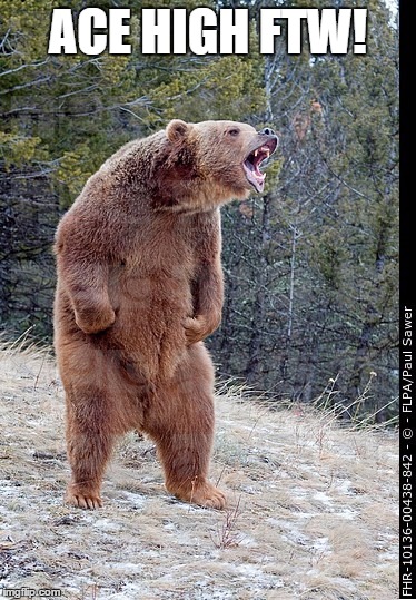 Angry bear | ACE HIGH FTW! | image tagged in angry bear | made w/ Imgflip meme maker