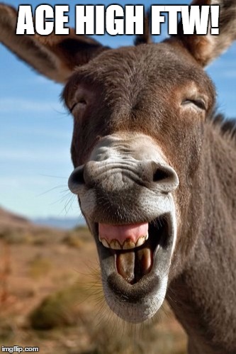 Laughing donkey | ACE HIGH FTW! | image tagged in laughing donkey | made w/ Imgflip meme maker