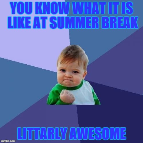 Success Kid Meme | YOU KNOW WHAT IT IS LIKE AT SUMMER BREAK; LITTARLY AWESOME | image tagged in memes,success kid | made w/ Imgflip meme maker