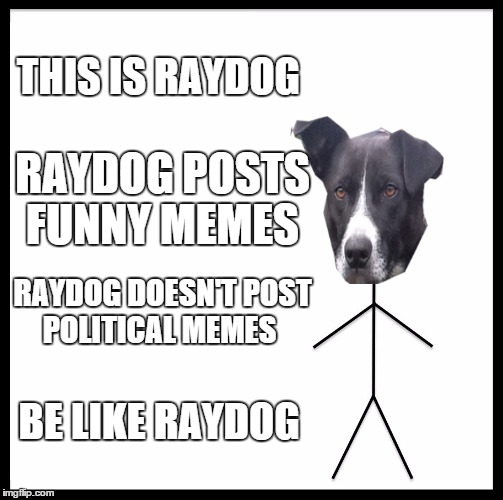 Be Like Bill Meme | THIS IS RAYDOG; RAYDOG POSTS FUNNY MEMES; RAYDOG DOESN'T POST POLITICAL MEMES; BE LIKE RAYDOG | image tagged in memes,be like bill,raydog,political | made w/ Imgflip meme maker