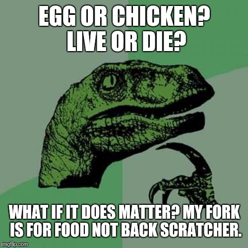 Philosoraptor Meme | EGG OR CHICKEN? LIVE OR DIE? WHAT IF IT DOES MATTER? MY FORK IS FOR FOOD NOT BACK SCRATCHER. | image tagged in memes,philosoraptor | made w/ Imgflip meme maker