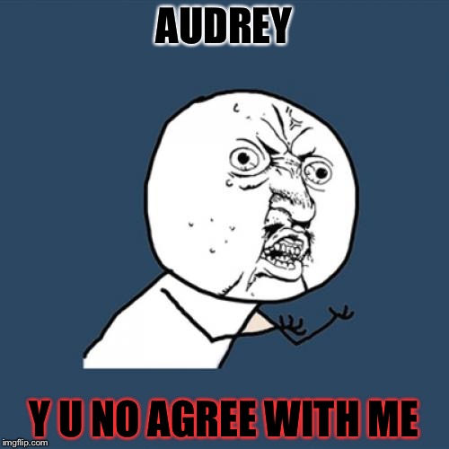 Y U No | AUDREY; Y U NO AGREE WITH ME | image tagged in memes,y u no | made w/ Imgflip meme maker
