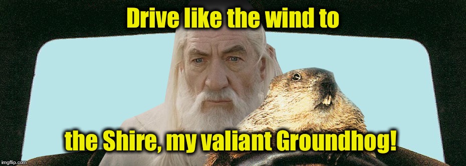 Gandalf Groundhog  | Drive like the wind to the Shire, my valiant Groundhog! | image tagged in gandalf groundhog | made w/ Imgflip meme maker