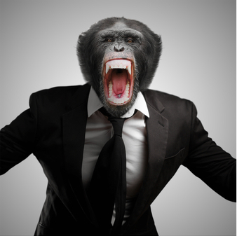 monkey in suit screaming Blank Meme Template