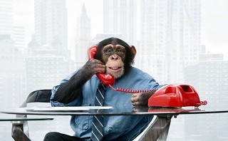 monkey in suit on phone Blank Meme Template