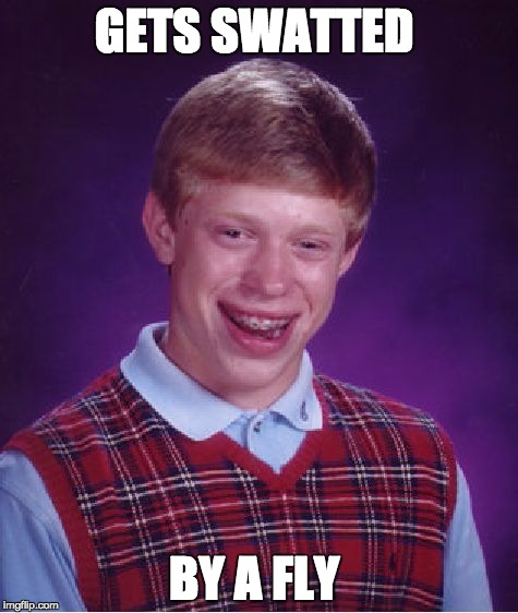 Bad Luck Brian | GETS SWATTED; BY A FLY | image tagged in memes,bad luck brian | made w/ Imgflip meme maker