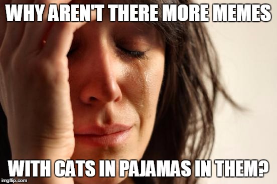 First World Problems Meme | WHY AREN'T THERE MORE MEMES WITH CATS IN PAJAMAS IN THEM? | image tagged in memes,first world problems | made w/ Imgflip meme maker