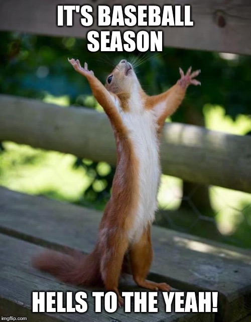 Happy Squirrel | IT'S BASEBALL SEASON; HELLS TO THE YEAH! | image tagged in happy squirrel | made w/ Imgflip meme maker