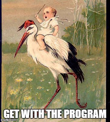 GET WITH THE PROGRAM | image tagged in eager,stork,baby | made w/ Imgflip meme maker