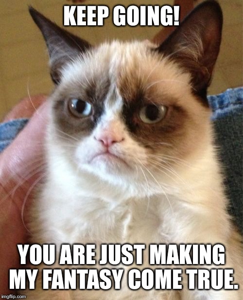 Grumpy Cat Meme | KEEP GOING! YOU ARE JUST MAKING MY FANTASY COME TRUE. | image tagged in memes,grumpy cat | made w/ Imgflip meme maker