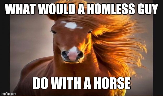 WHAT WOULD A HOMLESS GUY DO WITH A HORSE | made w/ Imgflip meme maker