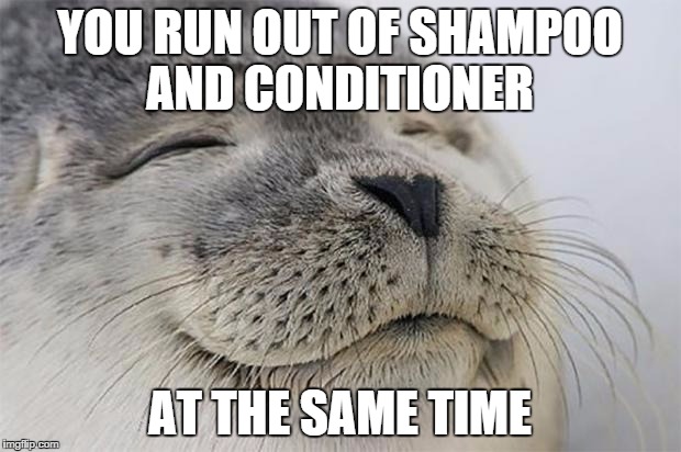 Satisfied Seal | YOU RUN OUT OF SHAMPOO AND CONDITIONER; AT THE SAME TIME | image tagged in memes,satisfied seal | made w/ Imgflip meme maker