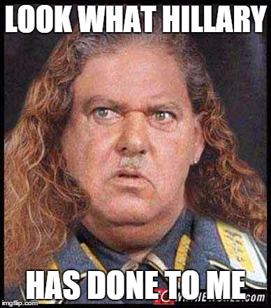 DWS | LOOK WHAT HILLARY; HAS DONE TO ME | image tagged in dws | made w/ Imgflip meme maker
