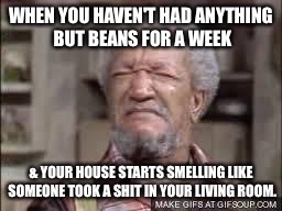 Fred Sanford | WHEN YOU HAVEN'T HAD ANYTHING BUT BEANS FOR A WEEK; & YOUR HOUSE STARTS SMELLING LIKE SOMEONE TOOK A SHIT IN YOUR LIVING ROOM. | image tagged in fred sanford | made w/ Imgflip meme maker