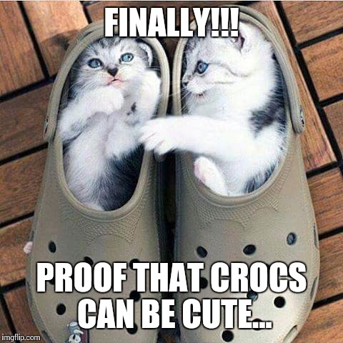 Finally, we have the proof... | FINALLY!!! PROOF THAT CROCS CAN BE CUTE... | image tagged in funny memes,memes,cute cat,crocs,cute kittens | made w/ Imgflip meme maker