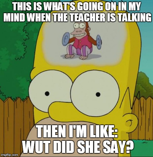 When the Teacher is talking important stuff | THIS IS WHAT'S GOING ON IN MY MIND WHEN THE TEACHER IS TALKING; THEN I'M LIKE: WUT DID SHE SAY? | image tagged in homer monkey | made w/ Imgflip meme maker