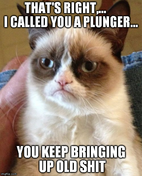 Nagging g/f or b/f  | THAT'S RIGHT,...      I CALLED YOU A PLUNGER... YOU KEEP BRINGING UP OLD SHIT | image tagged in memes,grumpy cat | made w/ Imgflip meme maker