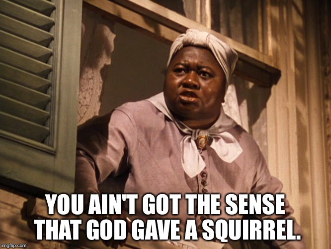 Mammy always tells it like it is | YOU AIN'T GOT THE SENSE THAT GOD GAVE A SQUIRREL. | image tagged in mammy | made w/ Imgflip meme maker
