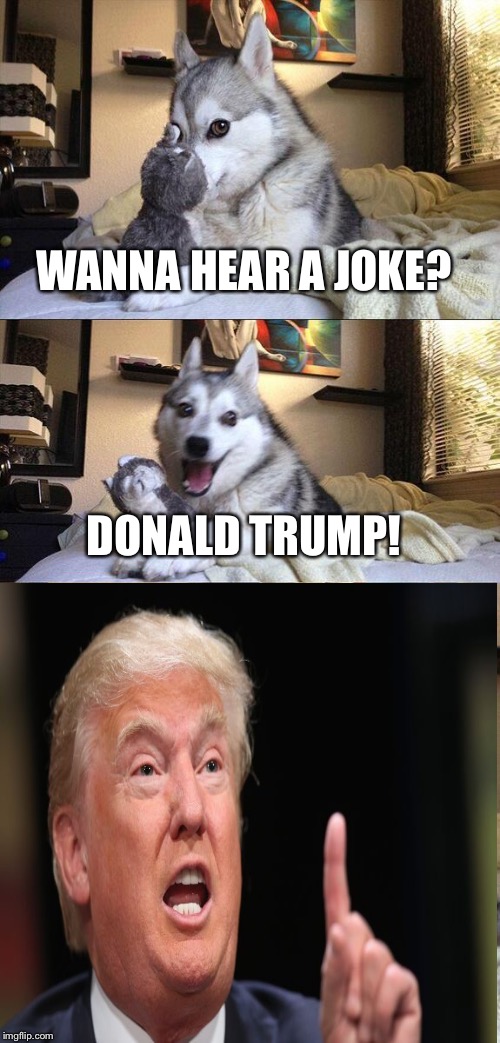 Bad Pun Dog | WANNA HEAR A JOKE? DONALD TRUMP! | image tagged in memes,bad pun dog | made w/ Imgflip meme maker