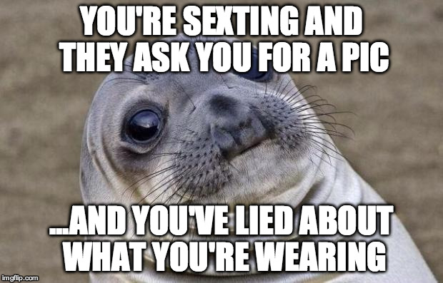 Awkward Moment Sealion Meme | YOU'RE SEXTING AND THEY ASK YOU FOR A PIC; ...AND YOU'VE LIED ABOUT WHAT YOU'RE WEARING | image tagged in memes,awkward moment sealion | made w/ Imgflip meme maker