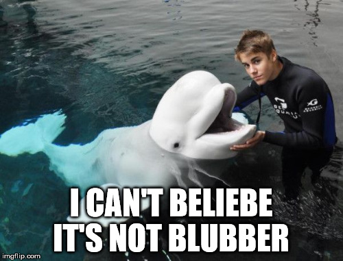 Bieber Butter | I CAN'T BELIEBE IT'S NOT BLUBBER | image tagged in bieber,butterfly | made w/ Imgflip meme maker