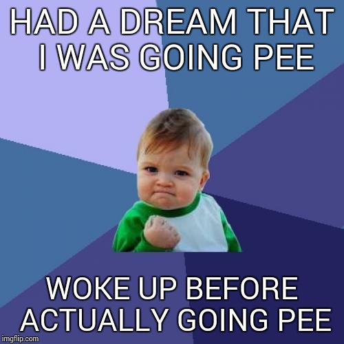 Have you dreamt you were peeing and then wet the bed? | HAD A DREAM THAT I WAS GOING PEE; WOKE UP BEFORE ACTUALLY GOING PEE | image tagged in memes,success kid | made w/ Imgflip meme maker