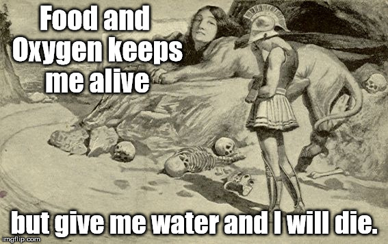 Riddles and Brainteasers | Food and Oxygen keeps me alive; but give me water and I will die. | image tagged in riddles and brainteasers | made w/ Imgflip meme maker