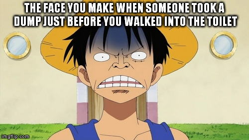 Luffy Face | THE FACE YOU MAKE WHEN SOMEONE TOOK A DUMP JUST BEFORE YOU WALKED INTO THE TOILET | image tagged in luffy,toilet,toilet humor,bad smell,disgusting | made w/ Imgflip meme maker