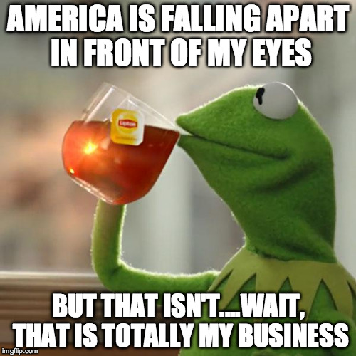 But That's None Of My Business | AMERICA IS FALLING APART IN FRONT OF MY EYES; BUT THAT ISN'T....WAIT, THAT IS TOTALLY MY BUSINESS | image tagged in memes,but thats none of my business,kermit the frog | made w/ Imgflip meme maker