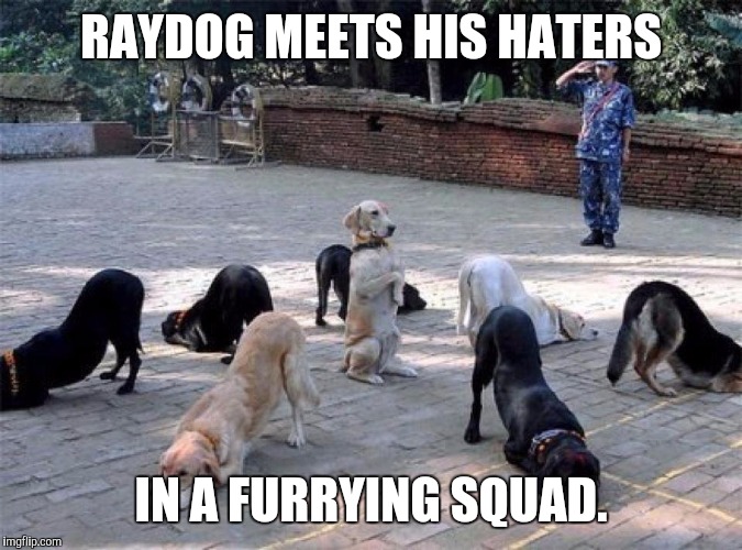 Any last requests? | RAYDOG MEETS HIS HATERS; IN A FURRYING SQUAD. | image tagged in memes,funny,dogs | made w/ Imgflip meme maker