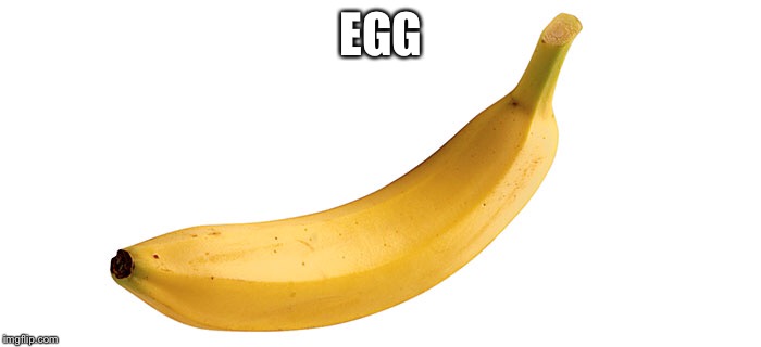 EGG | made w/ Imgflip meme maker