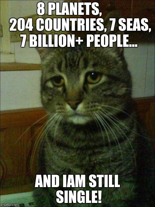Depressed Cat Meme | 8 PLANETS,        204 COUNTRIES, 7 SEAS, 7 BILLION+ PEOPLE... AND IAM STILL SINGLE! | image tagged in memes,depressed cat | made w/ Imgflip meme maker