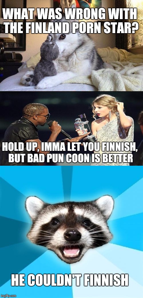 Bad Pun Dog Meme | WHAT WAS WRONG WITH THE FINLAND PORN STAR? HOLD UP, IMMA LET YOU FINNISH, BUT BAD PUN COON IS BETTER; HE COULDN'T FINNISH | image tagged in memes,bad pun dog | made w/ Imgflip meme maker