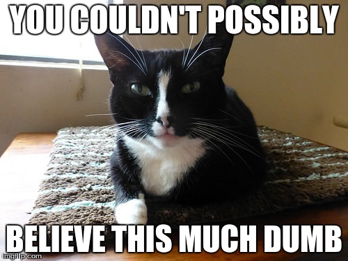 bullshit cat | YOU COULDN'T POSSIBLY; BELIEVE THIS MUCH DUMB | image tagged in dumb,bullshit,cat,stupid,asshole | made w/ Imgflip meme maker