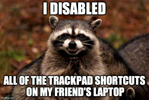 Evil Plotting Raccoon | I DISABLED; ALL OF THE TRACKPAD SHORTCUTS ON MY FRIEND'S LAPTOP | image tagged in memes,evil plotting raccoon,AdviceAnimals | made w/ Imgflip meme maker