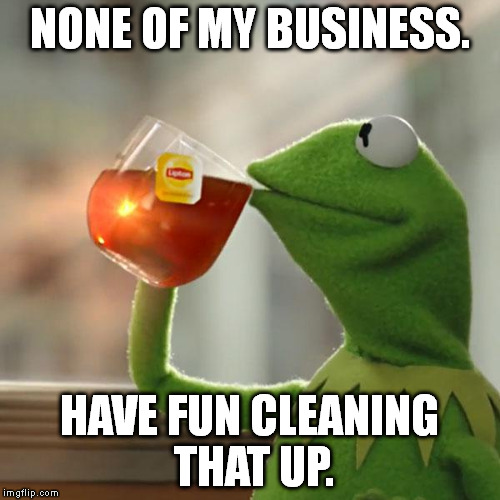 But That's None Of My Business Meme | NONE OF MY BUSINESS. HAVE FUN CLEANING THAT UP. | image tagged in memes,but thats none of my business,kermit the frog | made w/ Imgflip meme maker