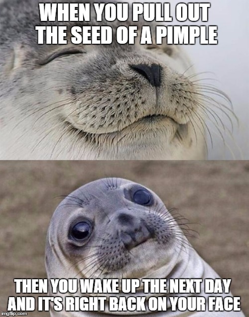Short Satisfaction VS Truth | WHEN YOU PULL OUT THE SEED OF A PIMPLE; THEN YOU WAKE UP THE NEXT DAY AND IT'S RIGHT BACK ON YOUR FACE | image tagged in memes,short satisfaction vs truth | made w/ Imgflip meme maker