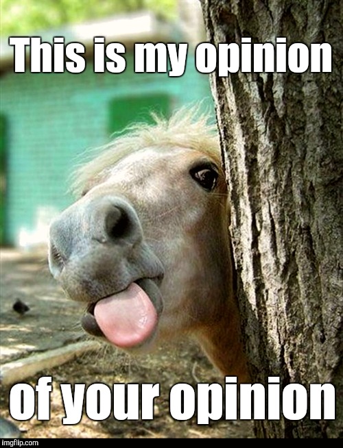 This is my opinion of your opinion | This is my opinion; of your opinion | image tagged in opinion,horsing around,tongue | made w/ Imgflip meme maker
