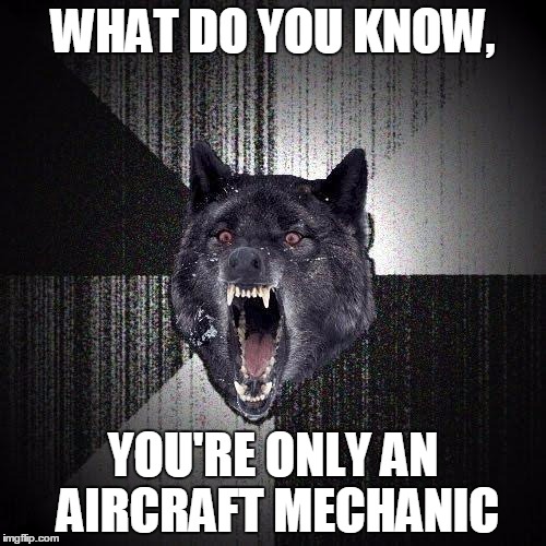 Insanity Wolf | WHAT DO YOU KNOW, YOU'RE ONLY AN AIRCRAFT MECHANIC | image tagged in memes,insanity wolf | made w/ Imgflip meme maker