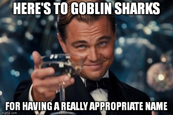 Leonardo Dicaprio Cheers Meme | HERE'S TO GOBLIN SHARKS FOR HAVING A REALLY APPROPRIATE NAME | image tagged in memes,leonardo dicaprio cheers | made w/ Imgflip meme maker