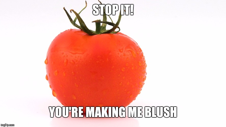 STOP IT! YOU'RE MAKING ME BLUSH | image tagged in tomato | made w/ Imgflip meme maker