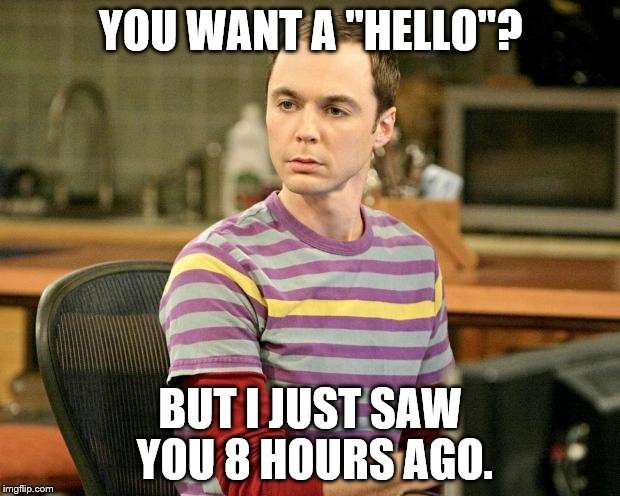 Why the INTJ type seems to be ignoring you | YOU WANT A "HELLO"? BUT I JUST SAW YOU 8 HOURS AGO. | image tagged in sheldon cooper,sheldon logic,mbti | made w/ Imgflip meme maker