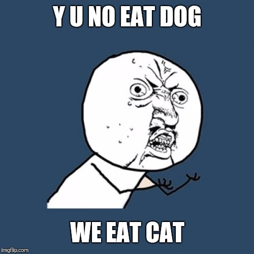 Y U No Meme | Y U NO EAT DOG WE EAT CAT | image tagged in memes,y u no | made w/ Imgflip meme maker