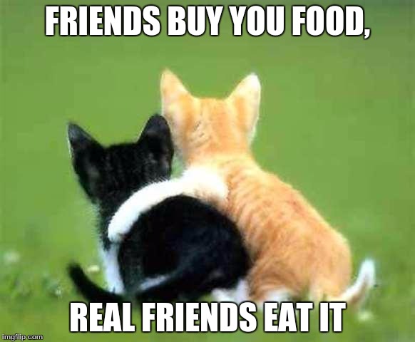 friends | FRIENDS BUY YOU FOOD, REAL FRIENDS EAT IT | image tagged in friends | made w/ Imgflip meme maker