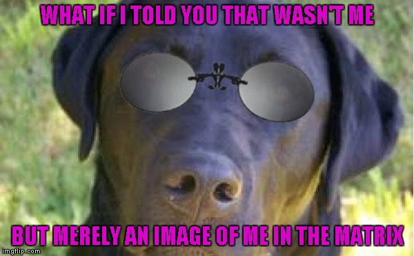 WHAT IF I TOLD YOU THAT WASN'T ME BUT MERELY AN IMAGE OF ME IN THE MATRIX | made w/ Imgflip meme maker